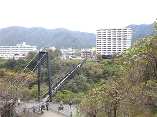 吊り橋1