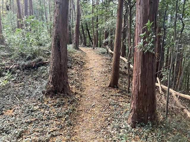 玉川温泉のハイキングコース