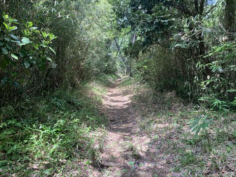 前田橋コース