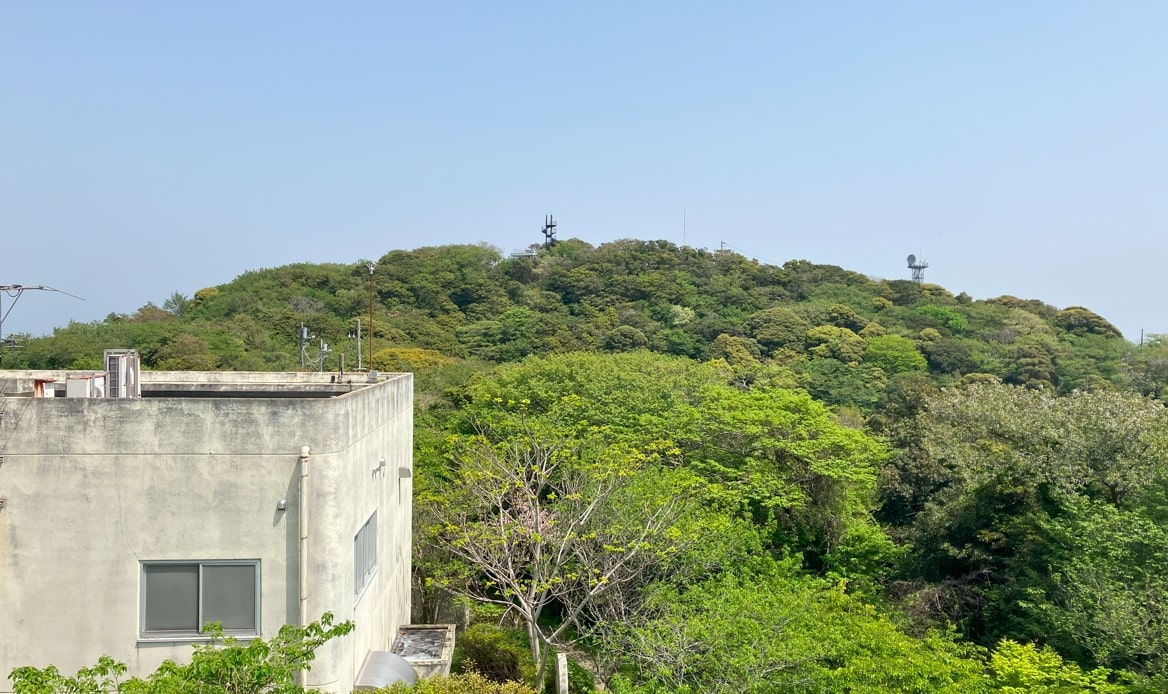 大楠山