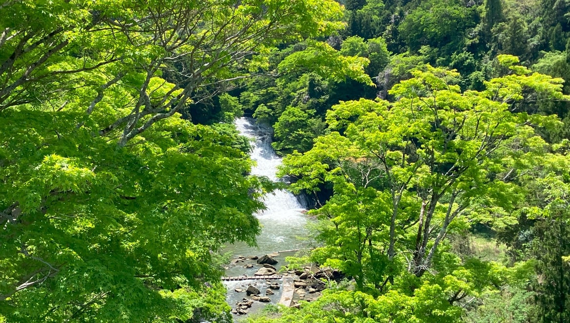 粟又の滝