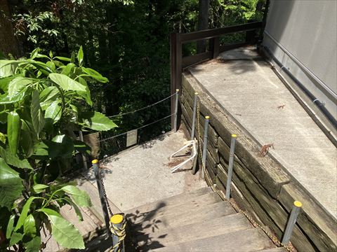 散策路入口2