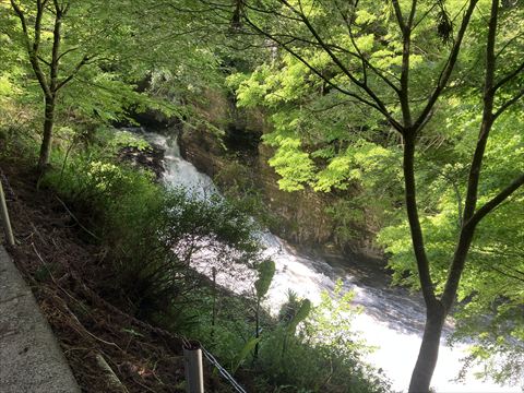 粟又の滝を横から見た景色