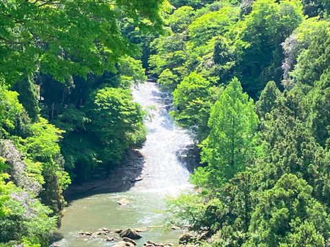 粟又の滝