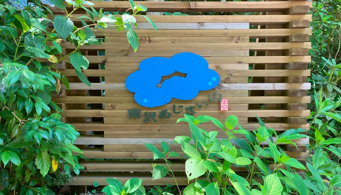 南沢あじさい山