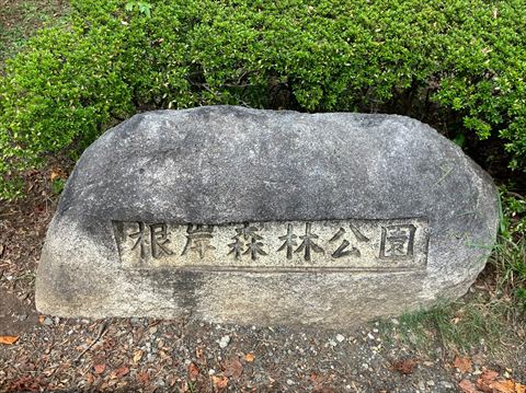 根岸森林公園1