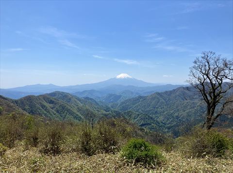 丹沢2
