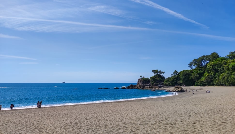 桂浜海岸