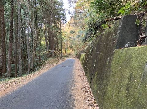 山道