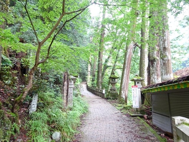 三峯ハイキングの写真