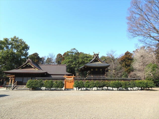 鷲宮神社